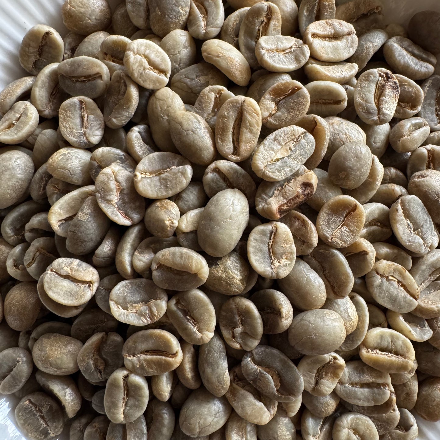 100% Arabica AA Green Coffee Beans