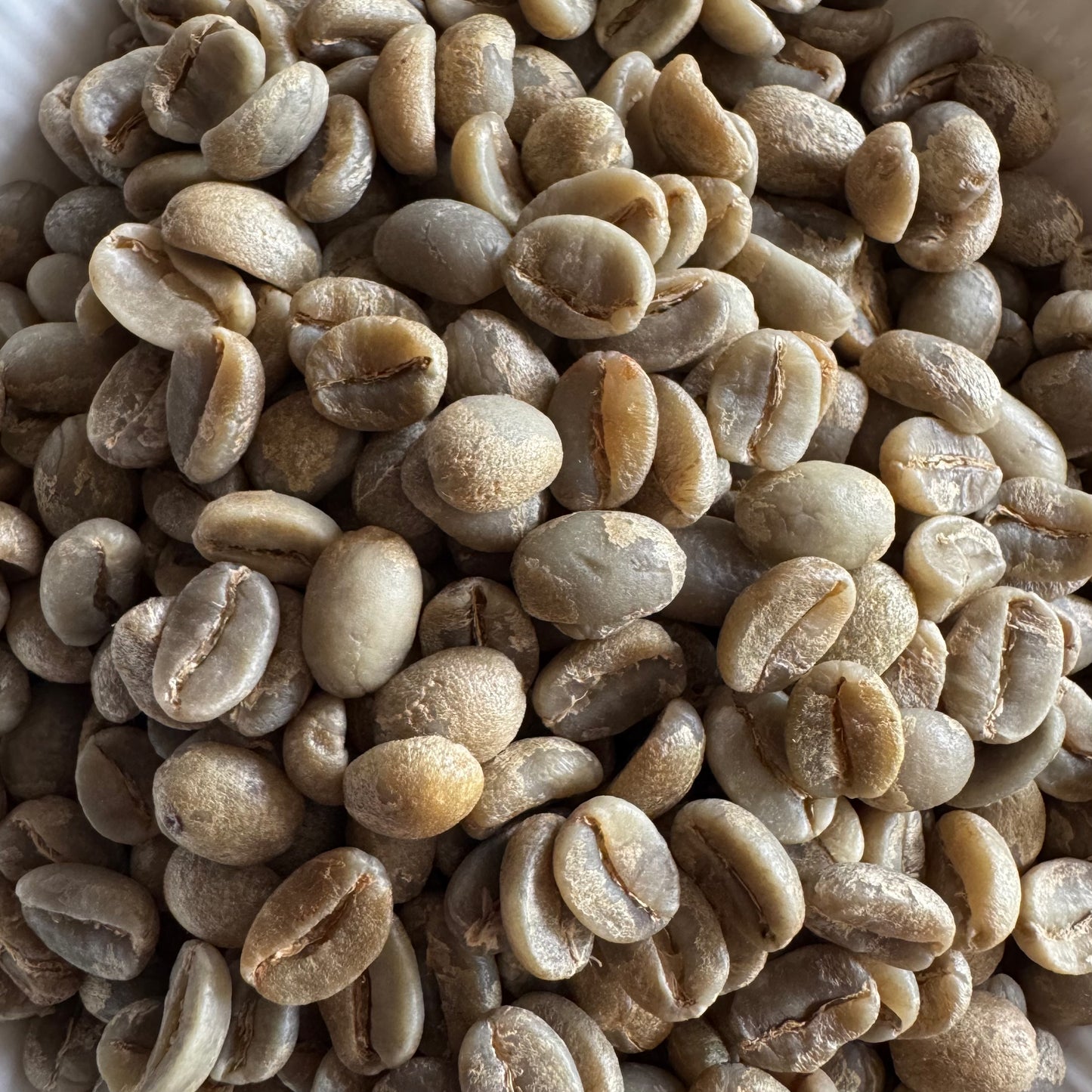 100% Arabica A Green Coffee Beans