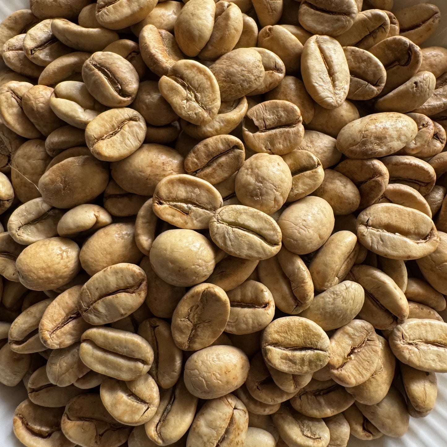 Mansooned Malabaar Green Coffee Beans